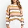PUP51 Clothing Tonk Knit Sweater - Brown Stripe